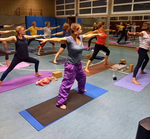 Vinyasa-Yoga